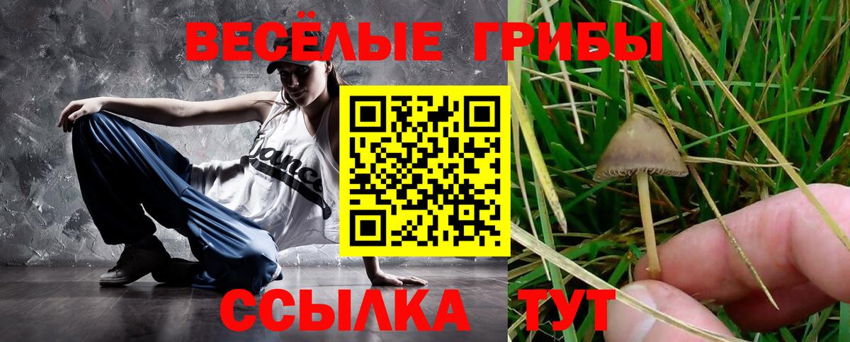 Карталы  Галлюциногенные грибы мицелий  Вход с VPN 